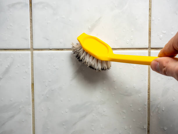 Home Mold Removal in Bartonville, TX