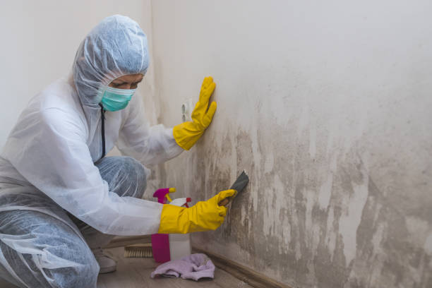 Best Mold Testing  in Bartonville, TX