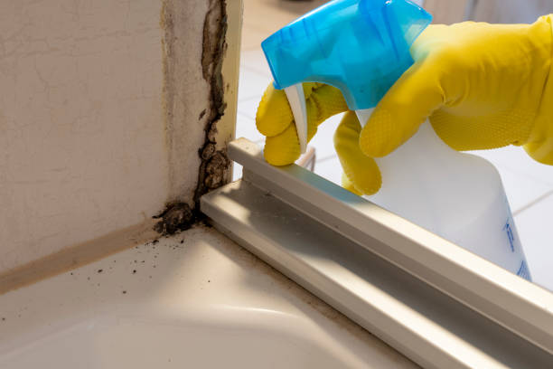 Best Mold Removal and Inspection  in Bartonville, TX