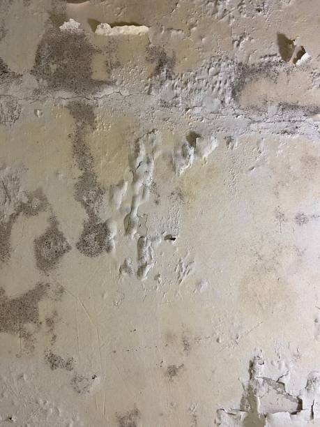 Best Water Damage Restoration  in Bartonville, TX