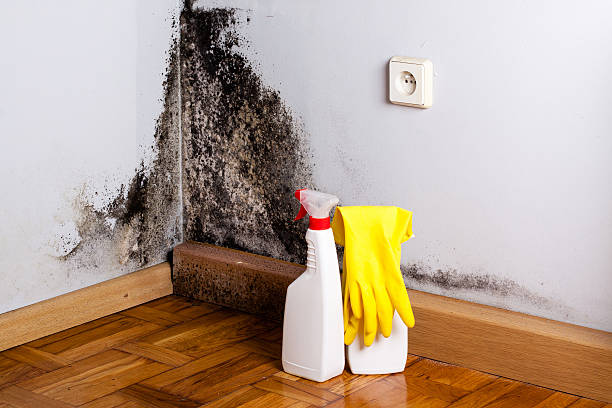 Best Mold Testing  in Bartonville, TX